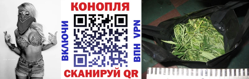 Где можно купить наркотики Бийск Бошки Шишки Псилоцибиновые грибы Alpha PVP Меф мяу мяу omg зеркало COCAIN АМФ ГАШИШ