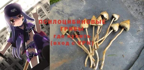 спайс Володарск