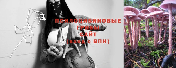 spice Волоколамск